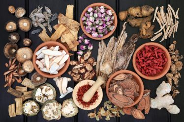 Dieta aproteica