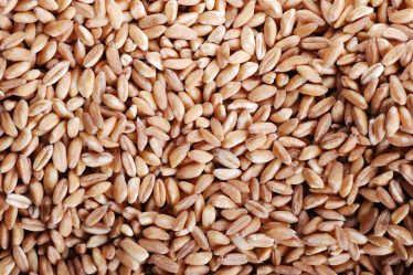 Il farro fa ingrassare?